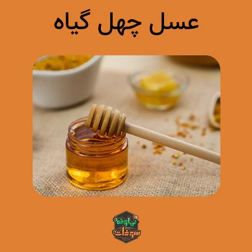 خرید عسل چهل گیاه طبیعی و ارزان قیمت بصورت عمده و خرد