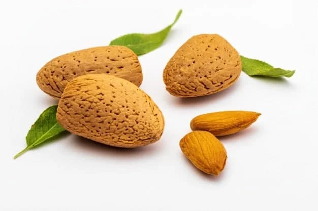 بادام تازه و لذیذ برای خرید