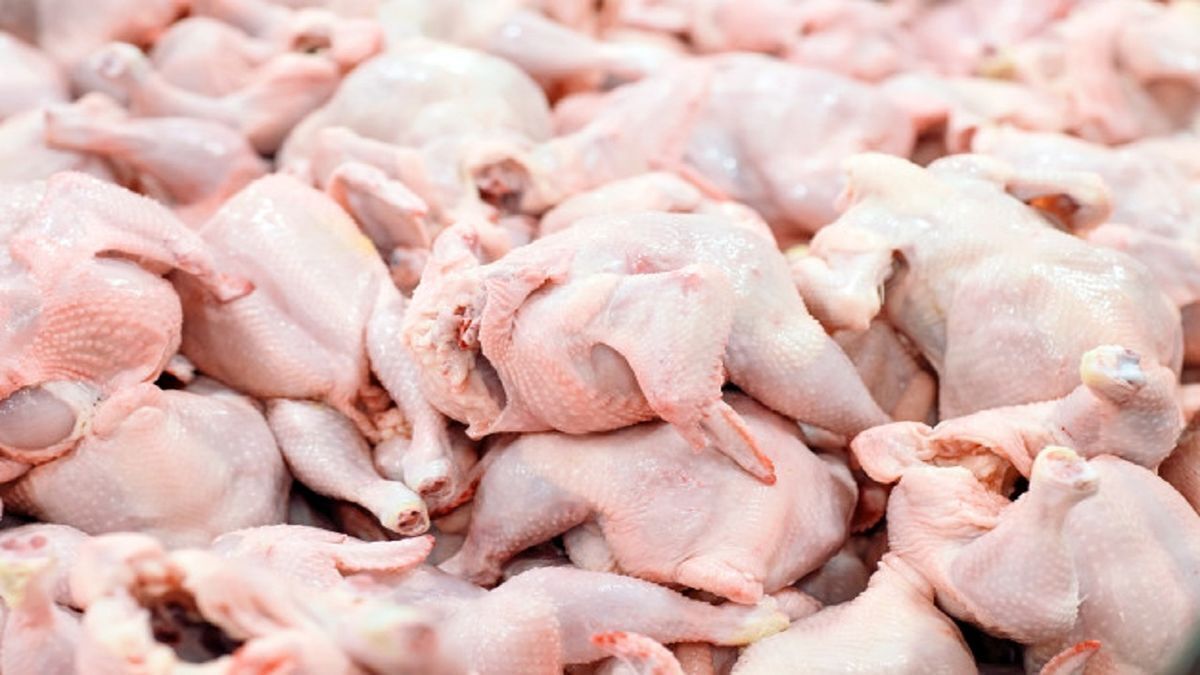 اطلاعیه مهم درباره سلامت مرغ‌های موجود در بازار