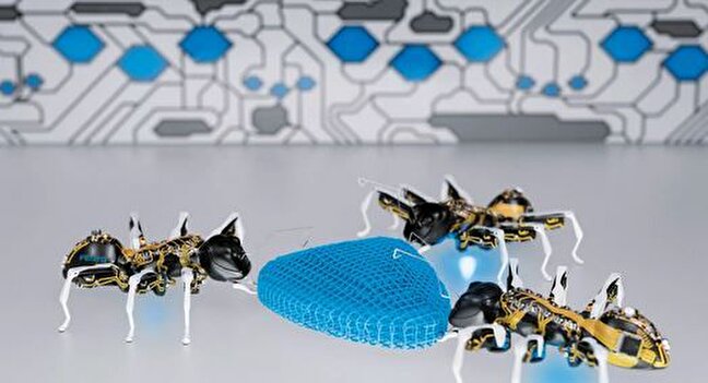 مورچه الهام بخش ساخت یک ربات
