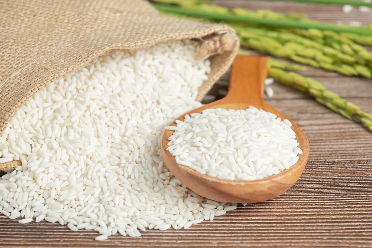 انواع برنج مناسب برای پخت غذای رژیمی