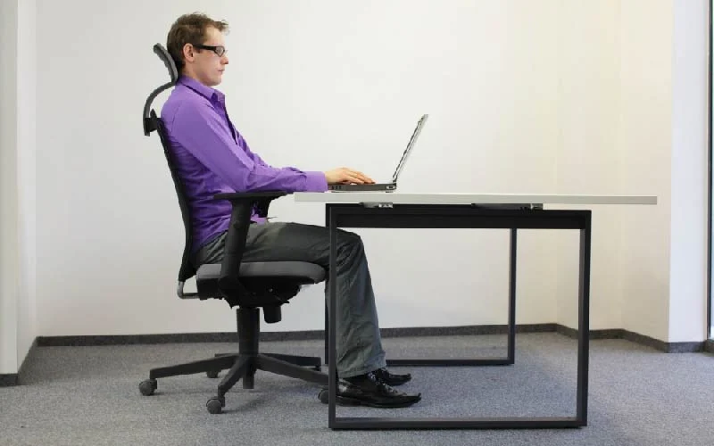 A back for working with a computer