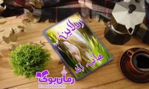 دانلود رمان ردلاین pdf
