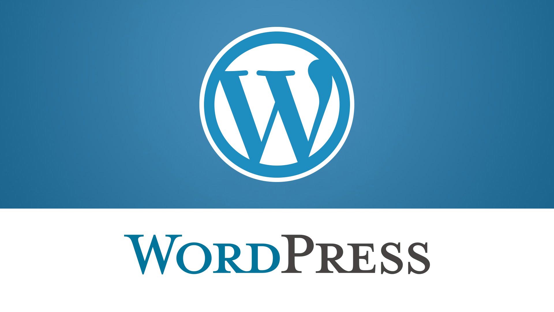 wordpress professional training