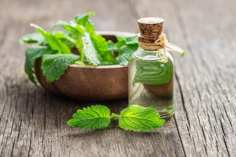 عرق بادرنجبویه برای خواب