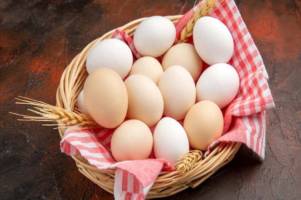 چگونگی محافظت از تخم‌مرغ برای جلوگیری از ابتلا به سالمونلا