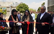 مشاغل خانگی تقدیر از برگزیدگان همایش مشاغل خانگی با حضور وزیر کار و معاون رئیس جمهور