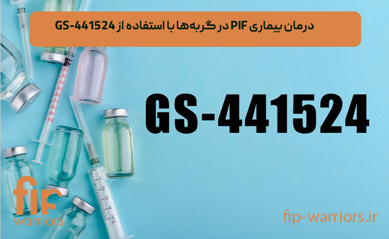 پشتیبانی و مشاوره درمان FIP در ایران: همراهی گروه FIP Warriors
