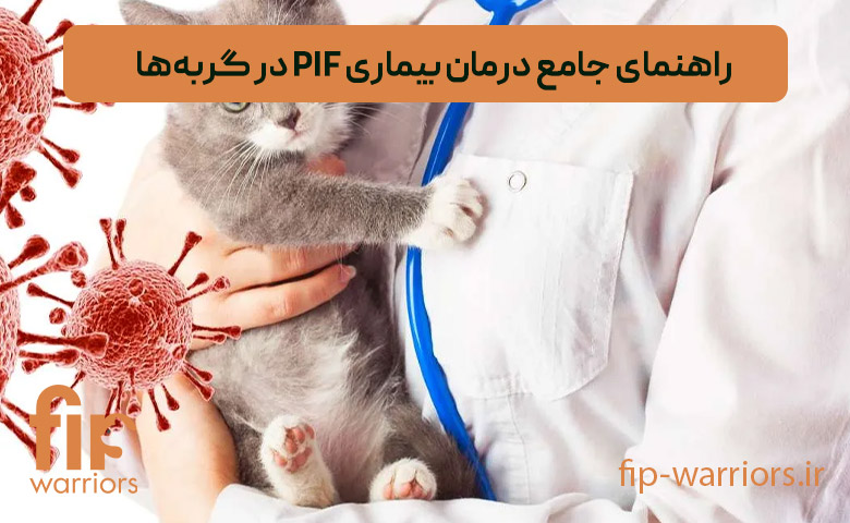 پشتیبانی و مشاوره درمان FIP در ایران: همراهی گروه FIP Warriors