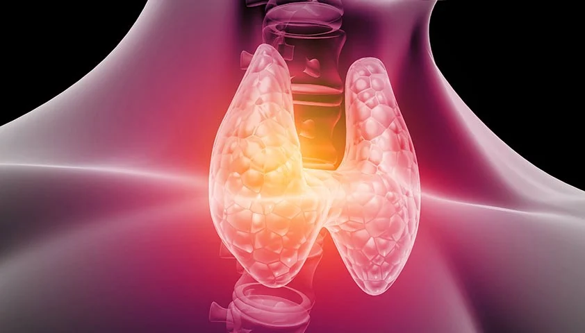 اضافه وزن دلایل اضافه وزن ناگهانی: چرا به طور غیرمنتظره چاق می شویم؟